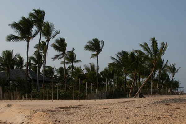 Campings idéals pour les familles